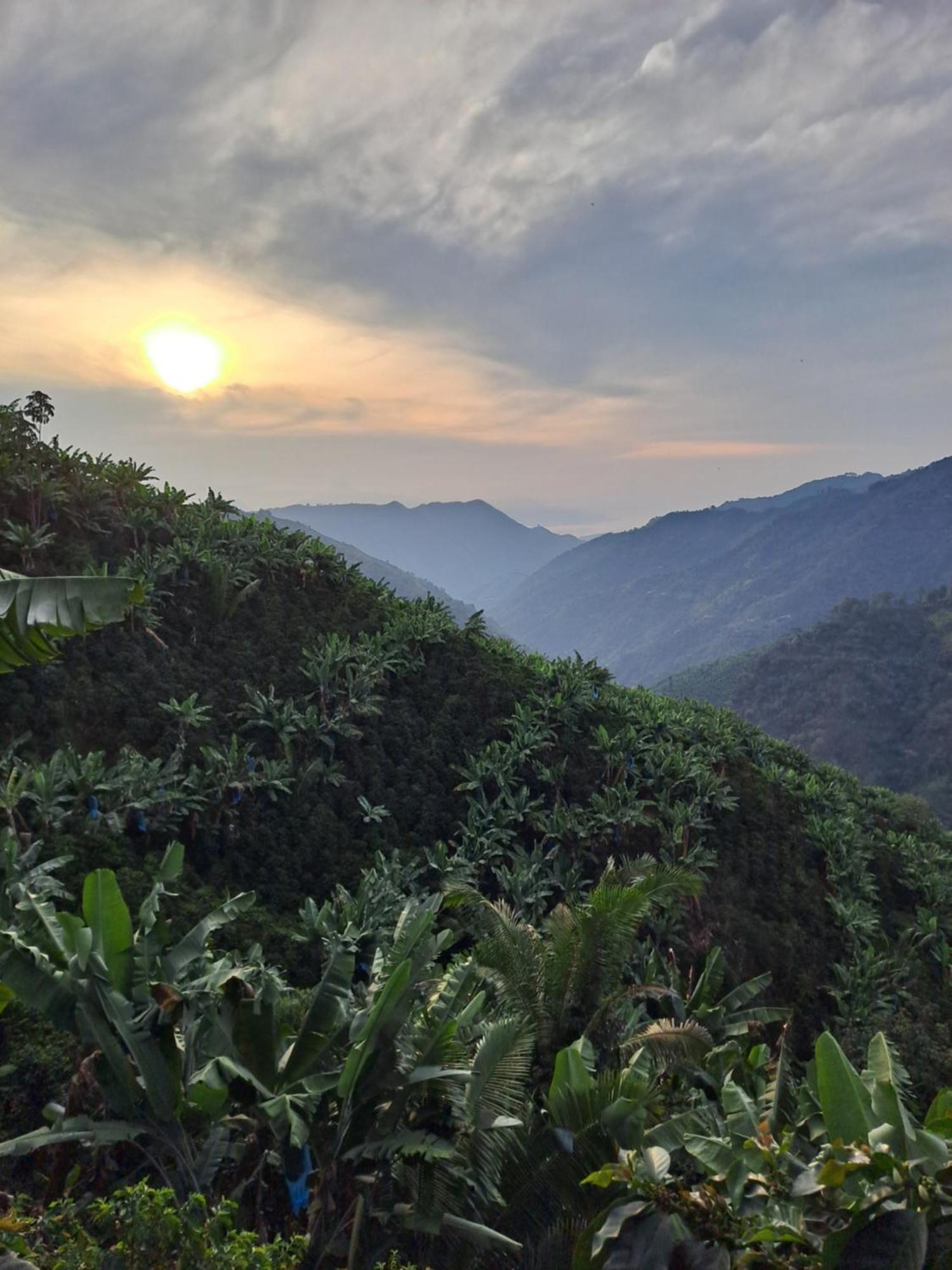 Finca La Manchuria Salgar  Esterno foto